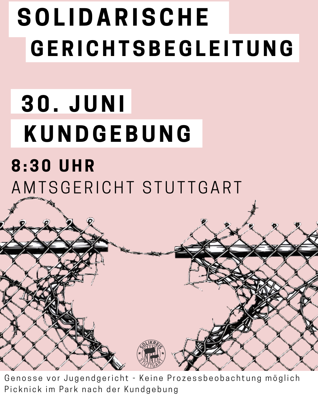 Kundgebung zum Prozess am 30. Juni