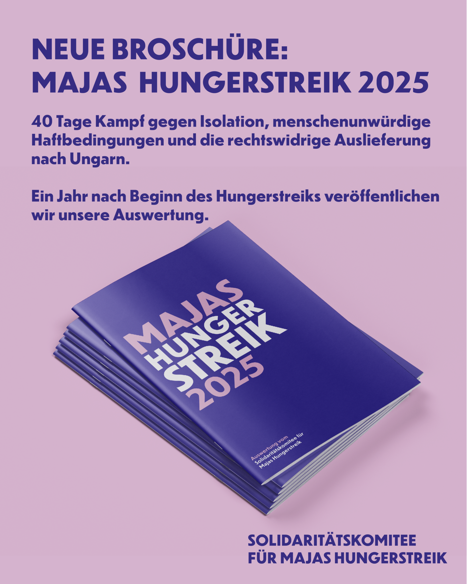 Brochüre des Solidaritätskomitees zu Majas Hungerstreik